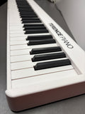 TERENCE E Piano 88 Tasten Weiß, Keyboard Piano