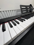 STRICH 88 Key Digital Piano Full Size