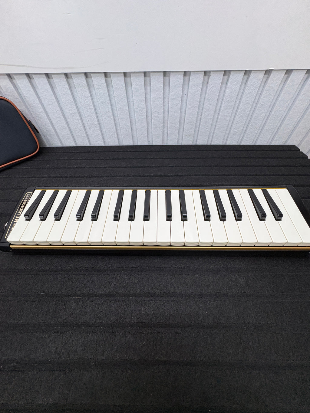 Suzuki Melodion M-37C Tasche + Schlauch