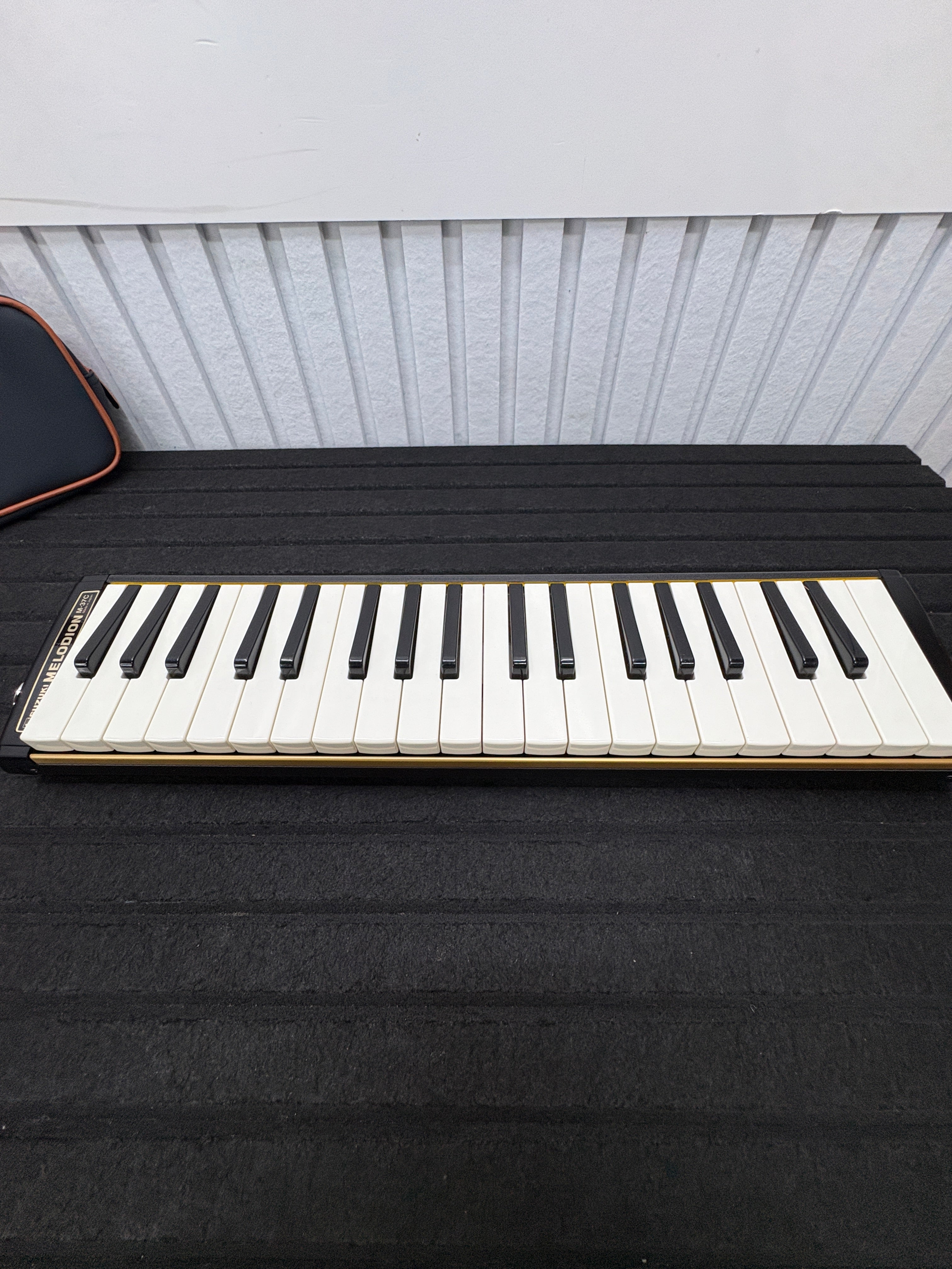 Suzuki Melodion M-37C Tasche + Schlauch
