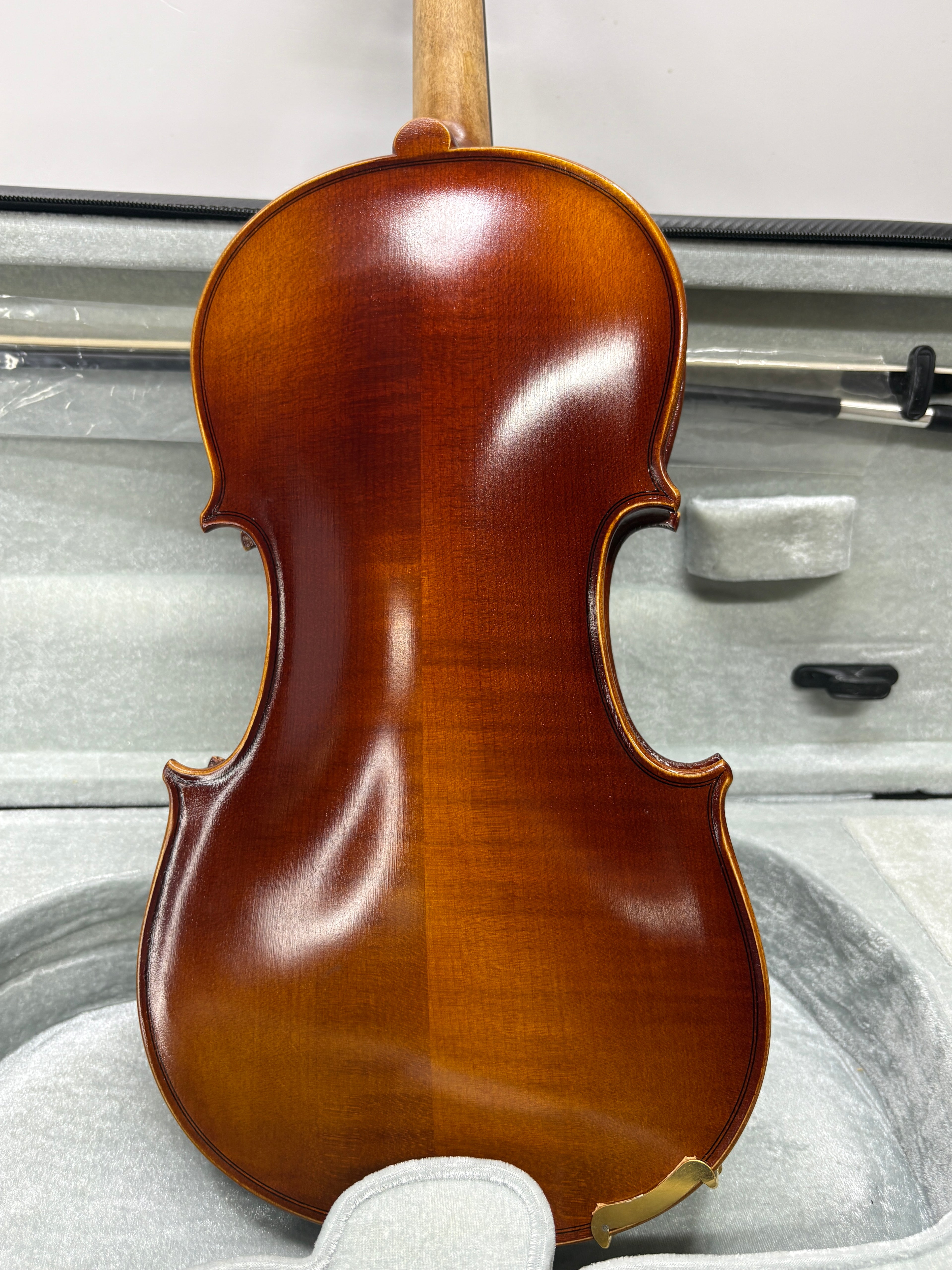 GEWA Allegro VL1 4/4 Violin Set
