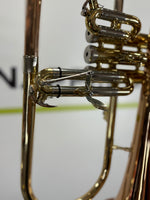 Roy Benson Bb-Flügelhorn FH-302G