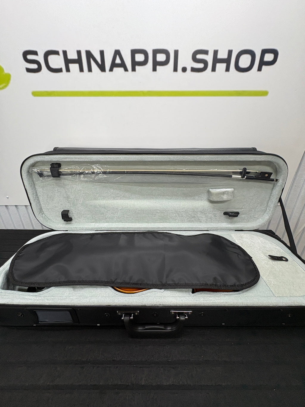 GEWA Allegro VL1 4/4 Violin Set