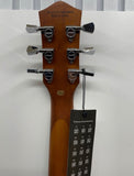 Donner E-Gitarre LP-Stil 39 Zoll Voller Größe mit Tasche