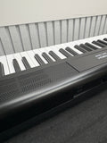 STRICH 88 Key Digital Piano Full Size