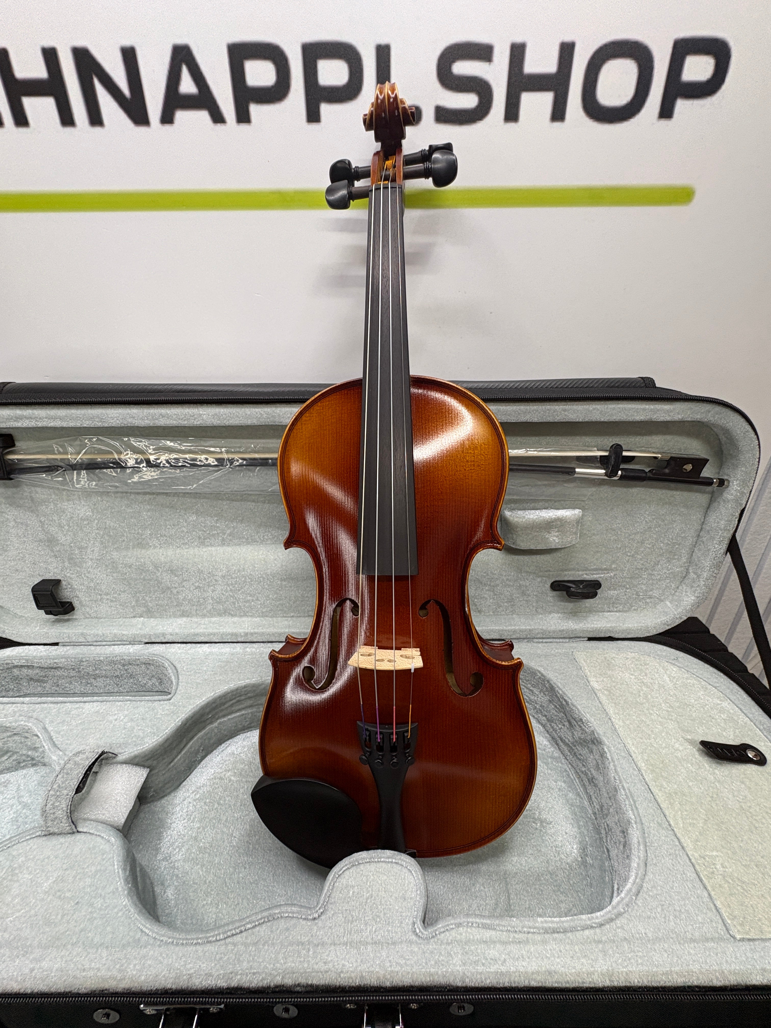 GEWA Allegro VL1 4/4 Violin Set