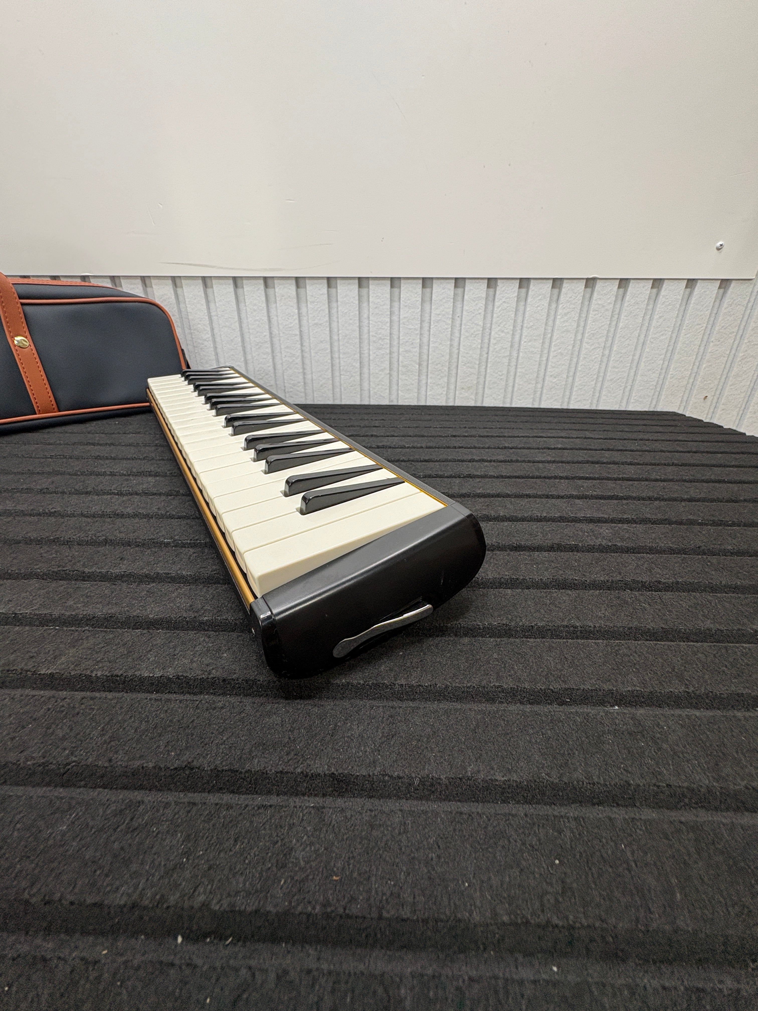 Suzuki Melodion M-37C Tasche + Schlauch