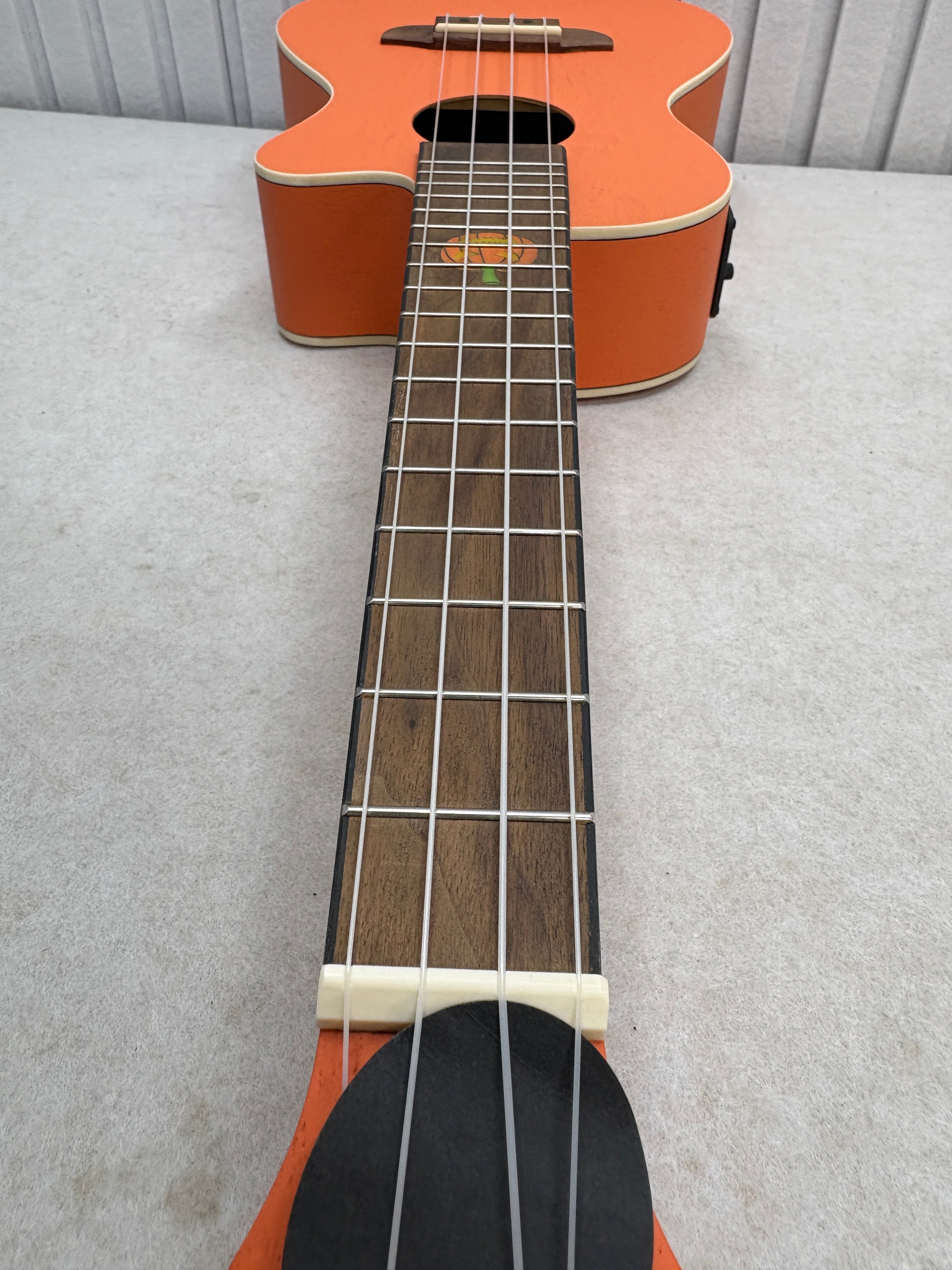 Ortega Guitars Konzert Ukulele Elektro Akustisch