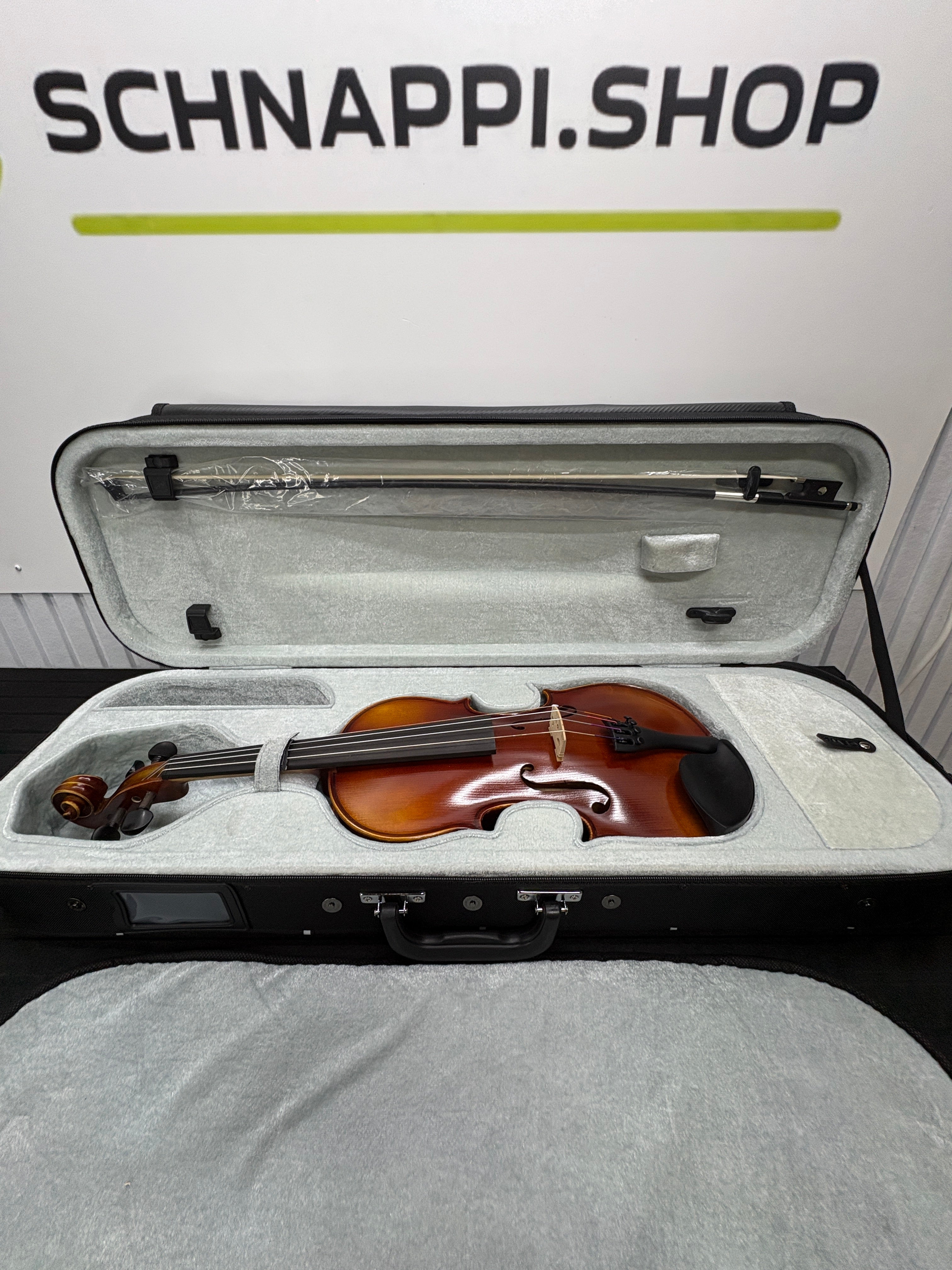 GEWA Allegro VL1 4/4 Violin Set