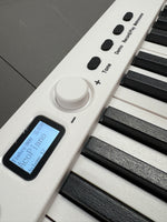 TERENCE E Piano 88 Tasten Weiß, Keyboard Piano