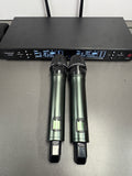 Depusheng DR666 Professionelles drahtloses Wireless Mikrofon