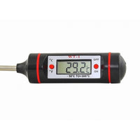 Digitales Thermometer mit Spieß zum Grillen Kochen Braten Küche