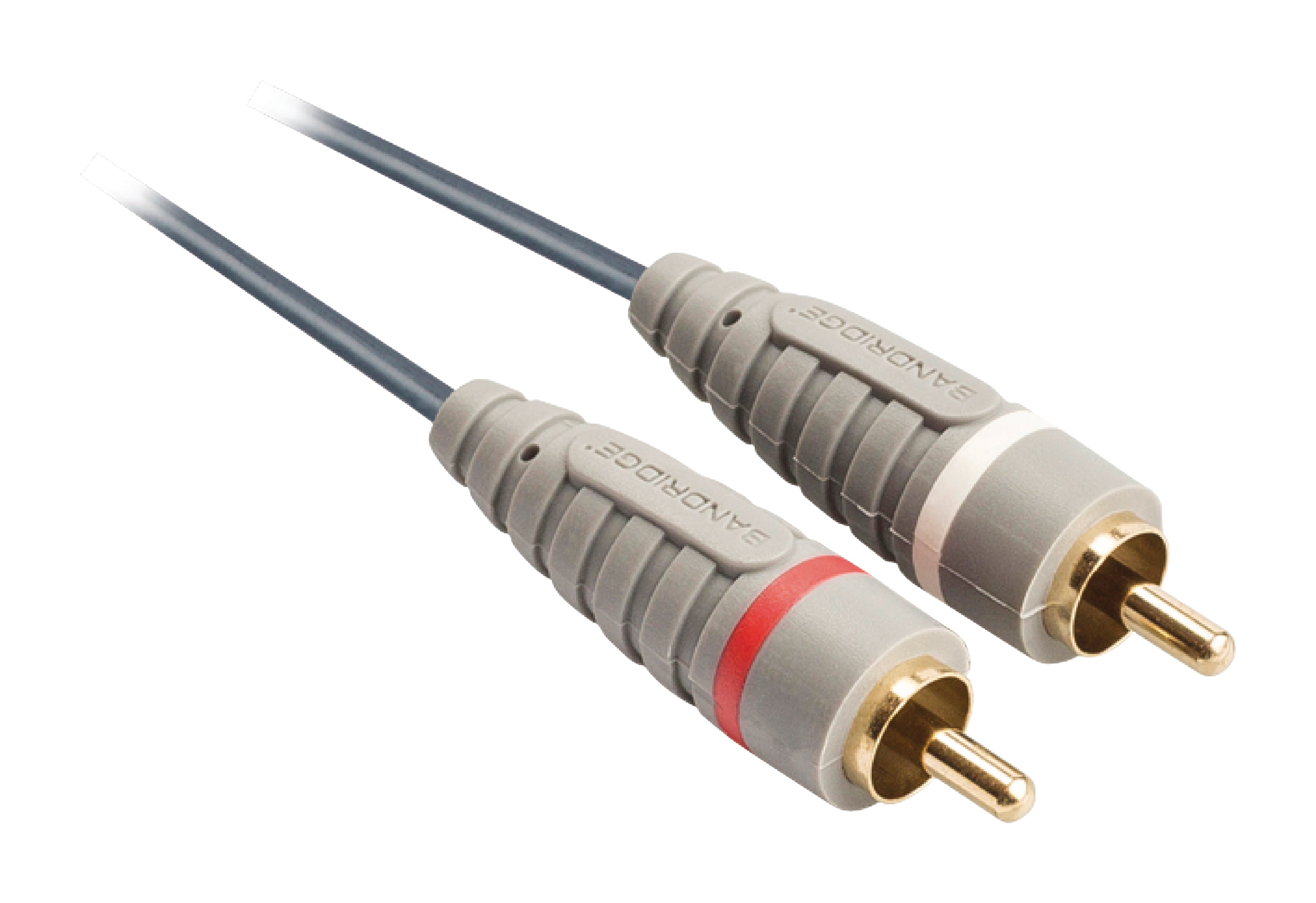 Bandridge Audio Cinch Kabel 3m 2 x RCA Male